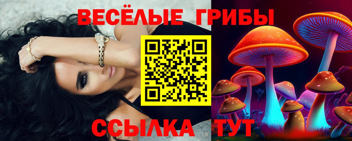 Псилоцибиновые грибы прущие грибы Южноуральск